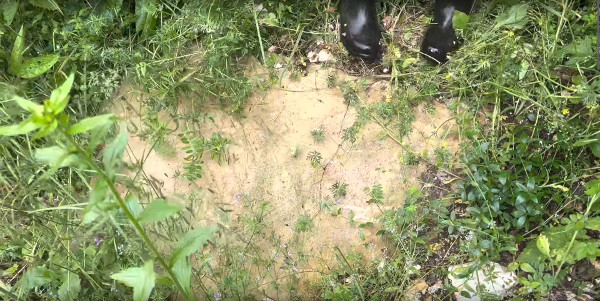 Velika kamena ploča preostala na ”grčkom groblju” na Crkveni; pod jednom od takvih ploča pri izgradnji mjesnoga puta pronađeni su divovski koštani ostaci (Izvor: Goran Ivanović ”Overlanding čudesnim Grmečom, ...” (video), 2023.)