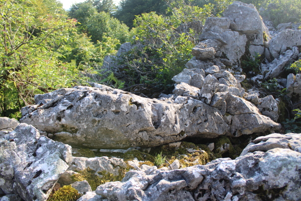 Sačuvani ulomak suhozida na sjevernom bedemu sagrađen od krupnog kamenja; ističe se kamen dugačak gotovo 2 metra i težak oko jedne tone (Foto: Goran Majetić)