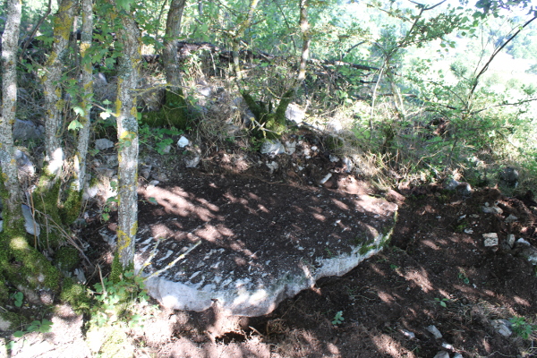 Da bi se ustvrdio točan oblik i veličina sačuvanog dijela izvorne ploče, valjalo je pažljivo s njezine pokrovnice ukloniti tanji sloj lišća, humusa i krhotina kamenja (Foto: Goran Majetić)