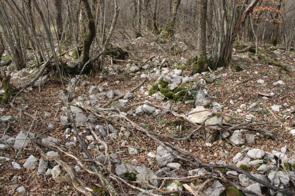 Pogled na plitki središnji jarak na crkvini koji odgovara pružanju nekadašnje crkvene lađe, u smjeru sjeverozapad - jugoistok (Foto: Goran Majetić)
