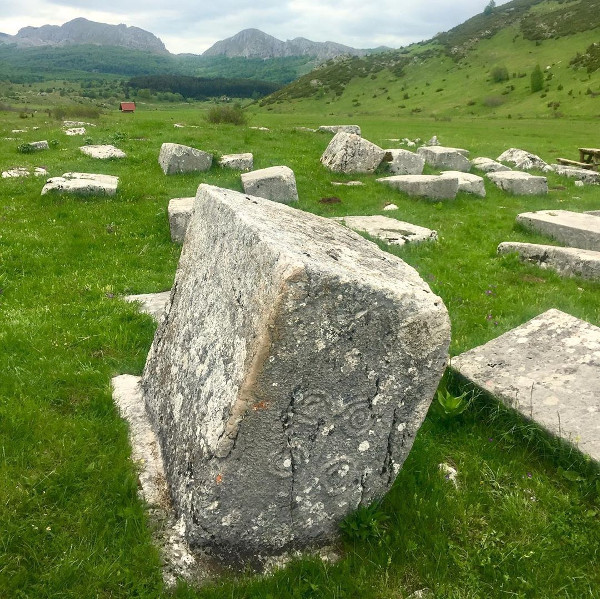Spiralno znamenje na jednome od stećaka - sanduka u Gvoznom polju (Izvor: Miruh Bosne (miruhbosne.com), 2020.)