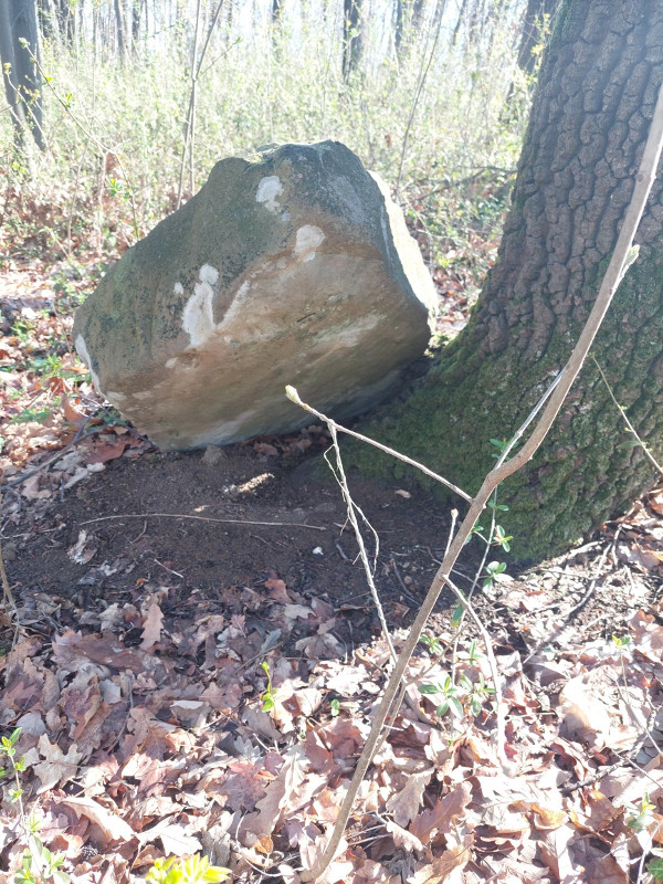 (Foto: Ivo Marić)