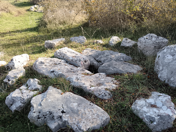 Jedan od bunara na mjestu zvanom Žuželj, zapadno od sela Radošić, posebnih po tome što su poklopljeni s megalitskim blokovima koji okružuju malo bunarsko okno