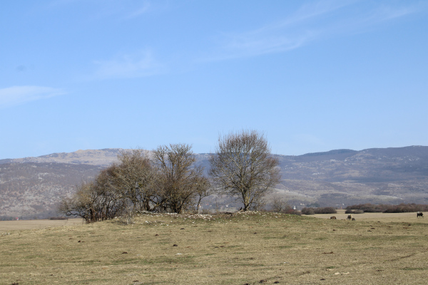 Pogled s križanja cesta iz Donjeg Mekinjara za Udbinu, Podlapaču i Gornji Mekinjar na mekinjarsku Crkvinu u Krbavskom polju (Foto: Goran Majetić)