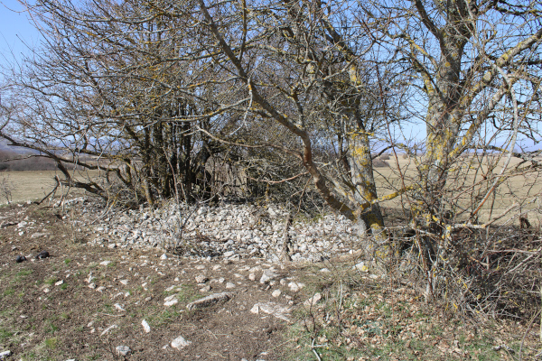 Pružanje i veličina gomile kamenja na Crkvini u Donjem Mekinjaru ukazuje da je riječ o crkvici usmjerenoj približno istok - zapad (Foto: Goran Majetić)