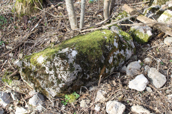 Ulomak južno od crkvene ruševine koji se doima kao prevrnuti sljemenjak, no moguće je da se radi tek o dosta oštećenom stećku - sanduku (Foto: Goran Majetić)