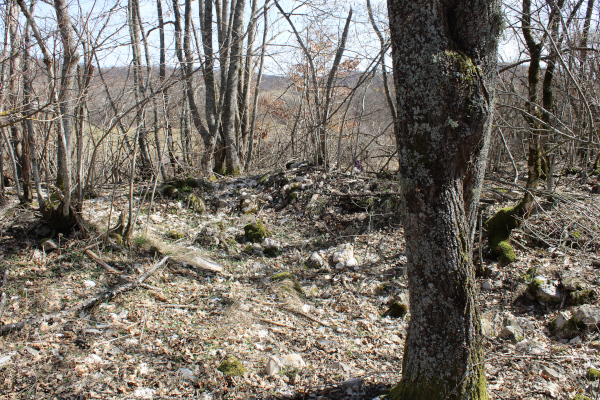 Jedva zamjetni građevinski tragovi odavna srušene srednjovjekovne crkve u Srednjoj Gori (Foto: Goran Majetić)