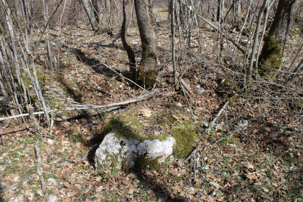 Prvi od dva oštećena stećka - sanduka koji se nalaze zapadno od nekadašnje crkve, čija debljina doseže do 40 centimetra (Foto: Goran Majetić)