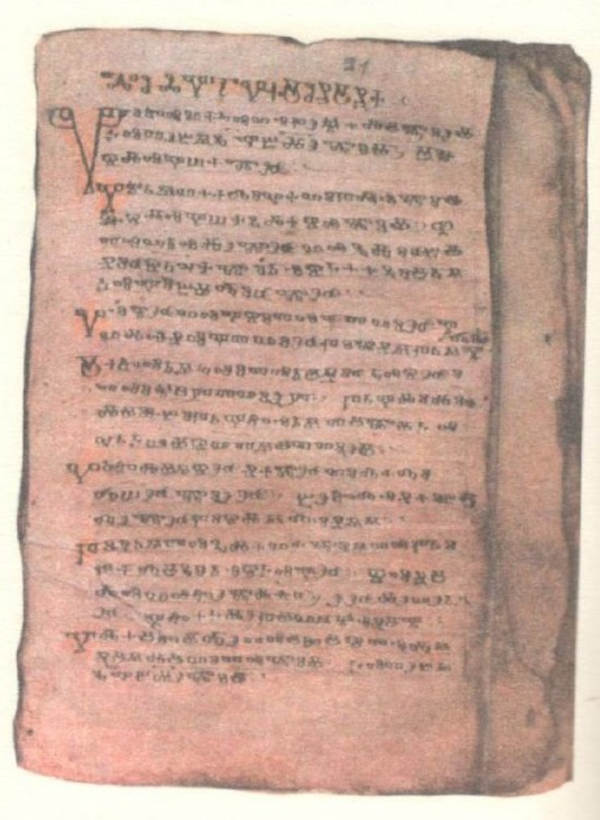 Dimitrov psaltir - Sinaj