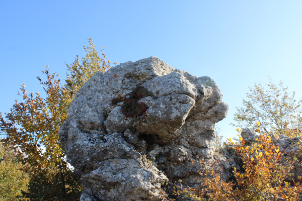 Zmaj s Krčane ima dvije istovjetne glave (Foto: Goran Majetić)