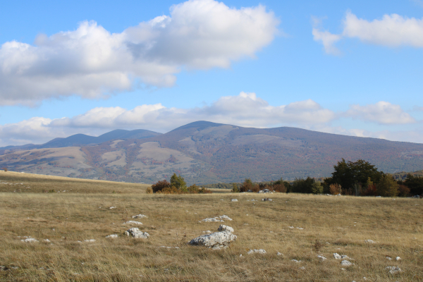 Pogled s visoravni Krčana na sjever, prema obroncima Ličke Plješivice; u prvome planu nesuđeni stećak sandučar (Foto: Goran Majetić)