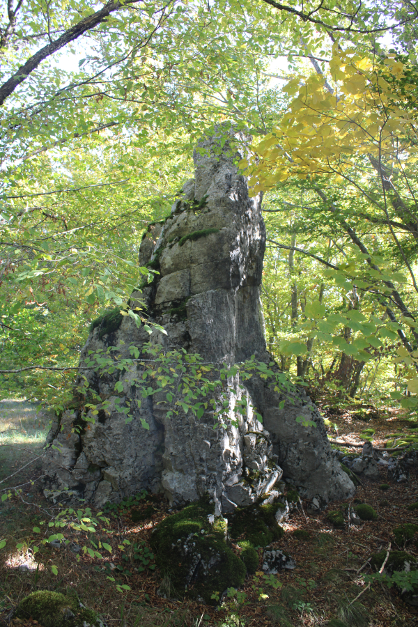 Oko 4,5 metara visoka stožasta stijena, kakve se u Lici često naziva gredom, izdvojena strši uz istočni rub visoravni Krčana (Foto: Goran Majetić)