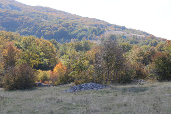 Usred istočnog dijela visoravni Krčana, okrenutog padinama planine Kremen, uočljivo je više desetaka manjih kamenih gomila; tek nakupine kamena sklonjenog s pašnjaka ili možda (i) nadgrobne gomile? (Foto: Goran Majetić)