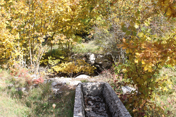 Ostaci starog bunara u predjelu visoravni zvanom Bukovac, građenog od krupnog kamenja bez veziva, uz koji je preostalo i suvremeno betonsko korito (Foto: Goran Majetić)