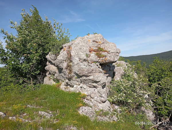 Ogromni kameni dvoglavi zmaj zalegao je na padinu brijega Krčana, s koje čuva blago s visoravni u podnožju (Foto: Katarina Žarki)